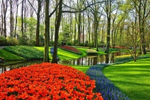 Amsterdam: Private Sightseeing Tour Keukenhof