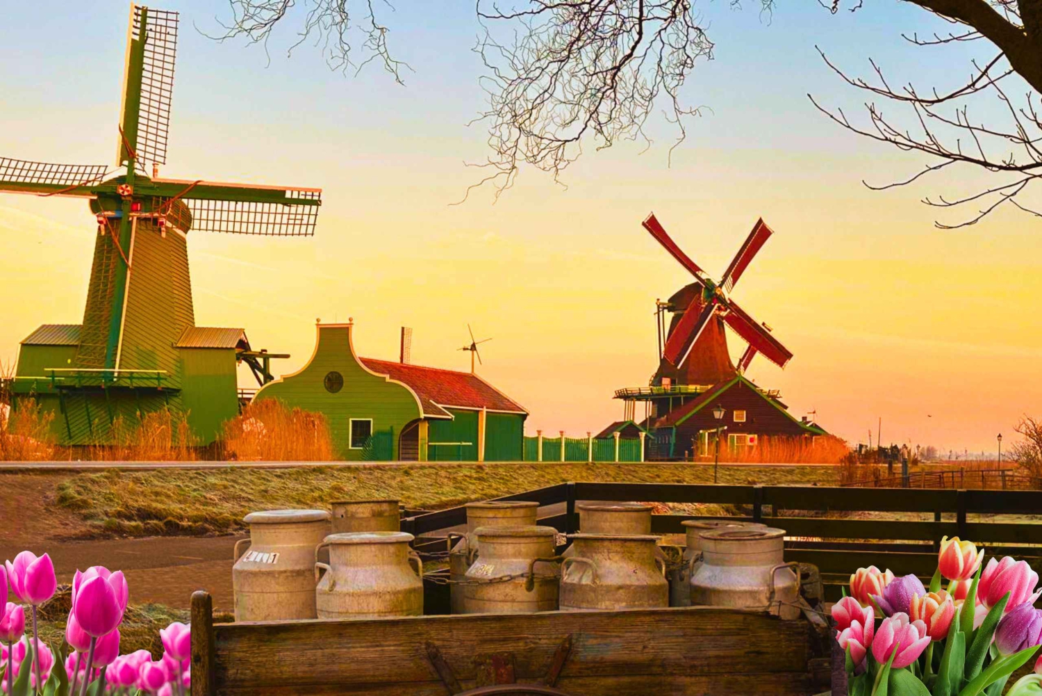 Amsterdã: tour privado em Zaanse Schans