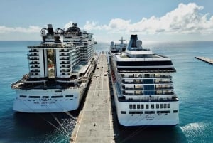 Amsterdam: Privat transport til og fra krydstogtshavnen - VIP