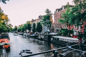 Det beste av Amsterdam: Privat vandringstur med en lokal guide