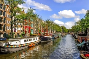 Det beste av Amsterdam: Privat vandringstur med en lokal guide