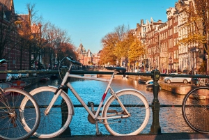 Det beste av Amsterdam: Privat vandringstur med en lokal guide