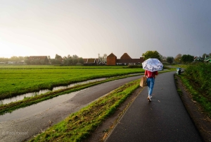 Amsterdam: servizio fotografico e picnic per una proposta di matrimonio a sorpresa.