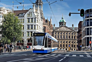 Amsterdam: Public Transport and 397 Airport Shuttle Ticket