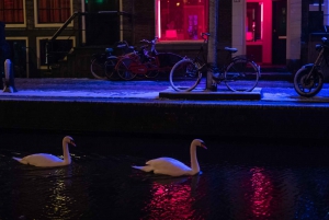 Amsterdam : Visite du quartier rouge et des cafés