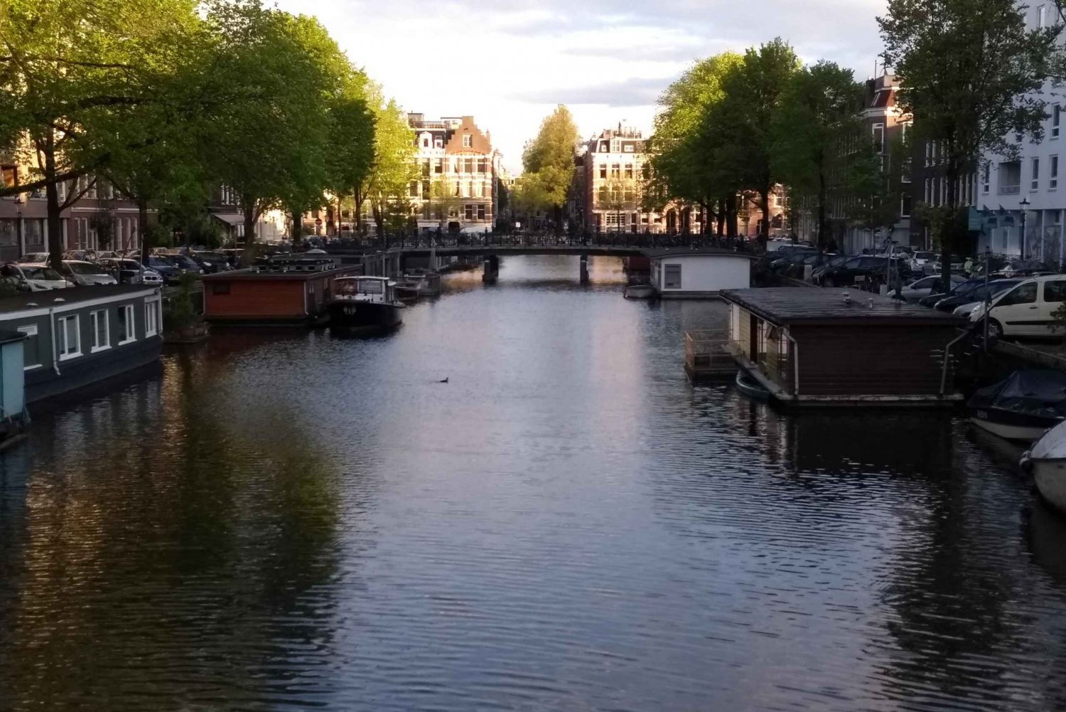 Wallen van Amsterdam's beste tour