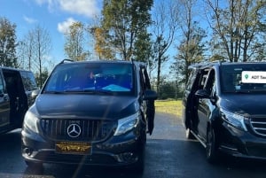 Amesterdão: Alugue um carro com motorista em Amesterdão (6/8 horas)