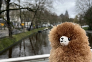 Amsterdam : Visite guidée privée du Rijksmuseum et billets d'entrée