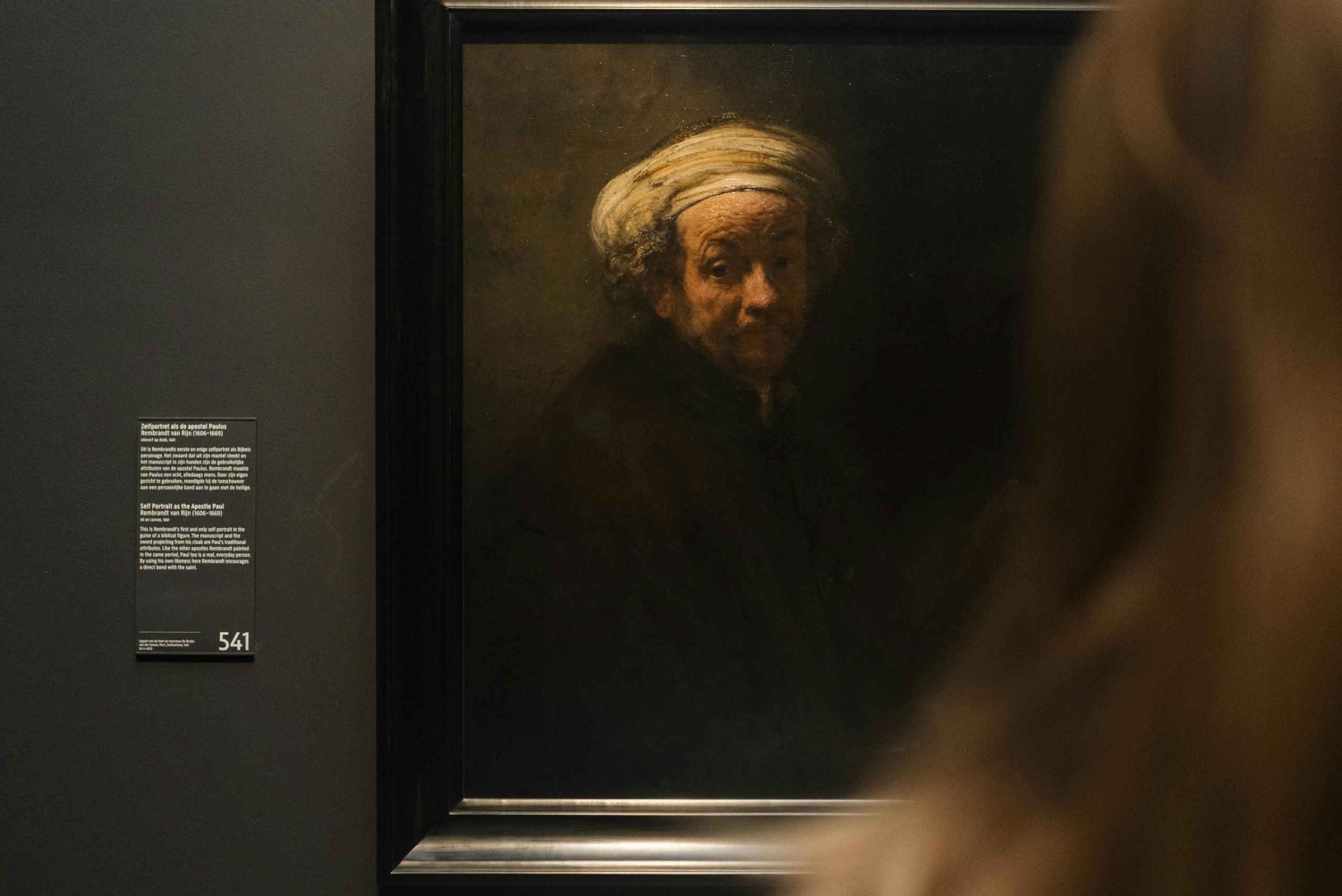 Amsterdam: Privat omvisning i Rijksmuseum med forbi-køen-inngang