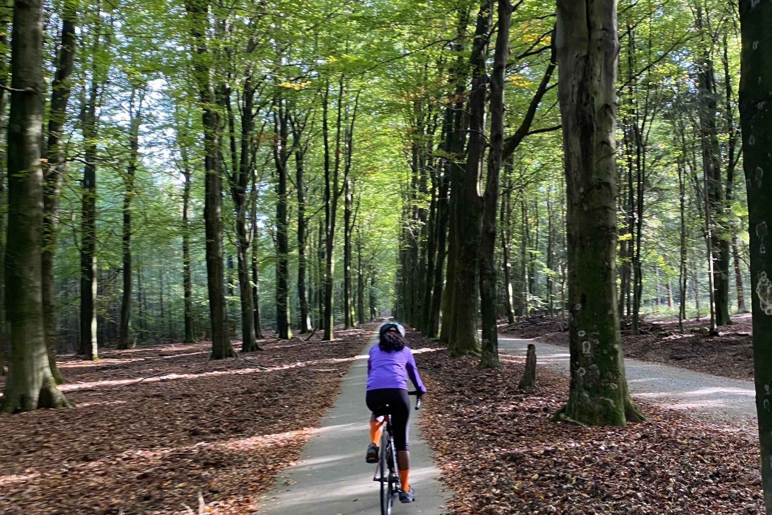 Amsterdã: Aluguel de bicicletas de estrada com tour guiado por você mesmo