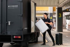 Amsterdam: Same Day Luggage Delivery to/from Airport