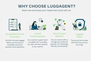 Amsterdam: Same Day Luggage Delivery to/from Airport