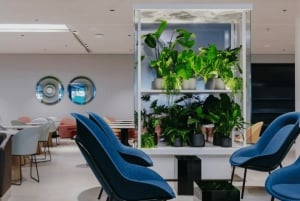 Amsterdam: Schipholin lentoaseman Aspire Lounge -pääsy