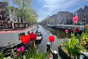 Amsterdam: Self-Guided Food Tour in De Jordaan Neighbourhood