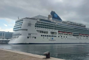 Amsterdam strandutflykt: Highlights promenad & kanal kryssning