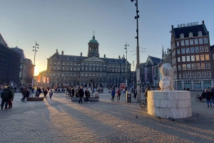 Amsterdam strandutflykt: Highlights promenad & kanal kryssning