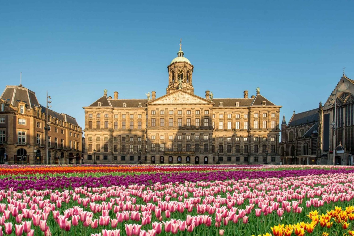 Amsterdam: Skip-the-line Royal Palace Private Guided Tour