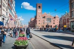 Amsterdam : Visite guidée privée du Palais Royal en coupe-file