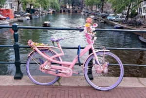 Ámsterdam: Visita guiada a pie para grupos pequeños (francés/inglés)