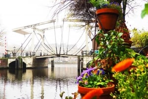 Ámsterdam: Tour en grupo reducido por las joyas ocultas