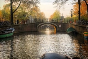 Visite en petit groupe à pied à Amsterdam