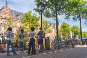 Excursão a pé para pequenos grupos em Amsterdã