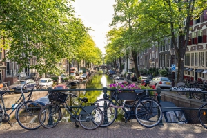 Amsterdam Small-Group Walking Tour