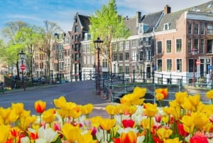 Amsterdam: The Golden Tulip City Exploration Game