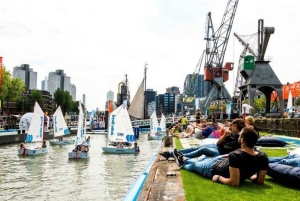 Amsterdam: Den Haag en Rotterdam, privé culturele tour