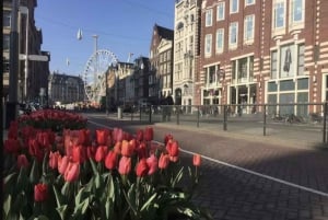 Amsterdam: The Story of History & Culture Walking Tour