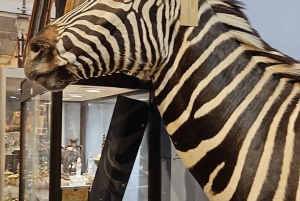 Amesterdão: Tour de compras em brechós com designer de interiores