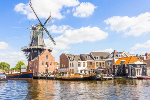 De Ámsterdam a Haarlem: Excursión de un día privada