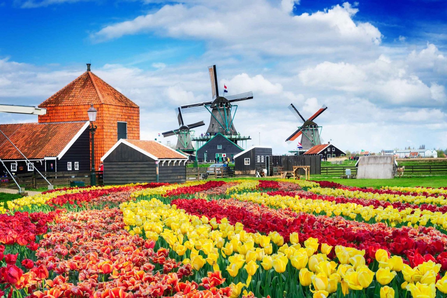 Amsterdam to Zaanse Schans Windmills, Volendam & Edam by Car