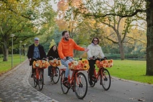 Ámsterdam: Recorrido guiado en bicicleta por los lugares más destacados EN/DE/ES/FR/IT/CN