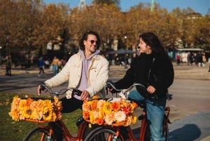 Ámsterdam: Recorrido guiado en bicicleta por los lugares más destacados EN/DE/ES/FR/IT/CN