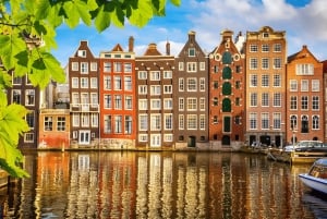 Ámsterdam: Recorrido guiado en bicicleta por los lugares más destacados EN/DE/ES/FR/IT/CN
