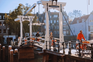 Amsterdam: Geführte Fahrradtour zu den Highlights in EN/DE/ES/FR/IT