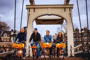 Amsterdam: Geführte Fahrradtour zu den Highlights in EN/DE/ES/FR/IT