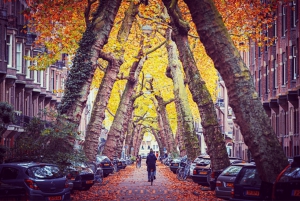 Amsterdam: Geführte Fahrradtour zu den Highlights in EN/DE/ES/FR/IT