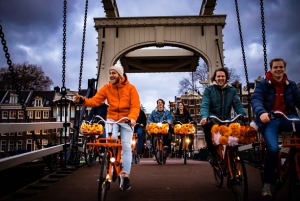 Amsterdam: Geführte Fahrradtour zu den Highlights in EN/DE/ES/FR/IT