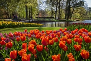 Amsterdam: Wycieczka do ogrodów Keukenhof z rejsem po wiatrakach