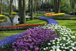 Amsterdam : Visite des jardins de Keukenhof avec croisière sur les moulins à vent