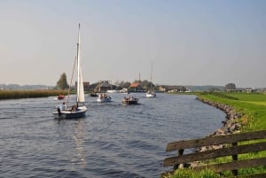 Amsterdam: Tur til Keukenhof-hagen med vindmøllecruise