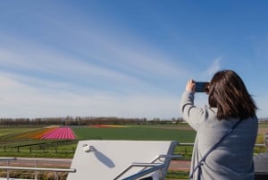 Amsterdam: Tour to Keukenhof Gardens with Windmill Cruise