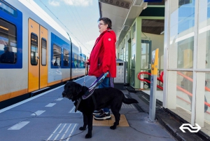 Amsterdam: Train Transfer Schiphol Airport from/to Den Haag