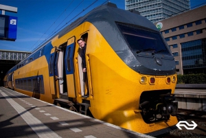 Amsterdam: Train Transfer Schiphol Airport from/to Den Haag