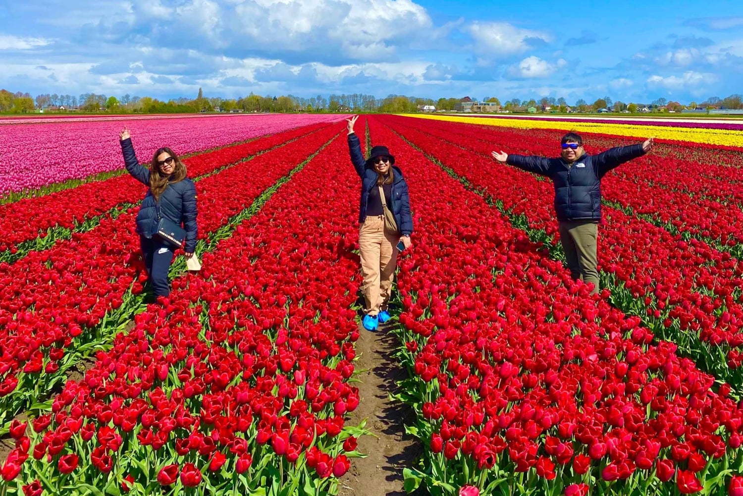 Amsterdam: Excursión de un Día a los Campos de Tulipanes con Almuerzo y Molino de Viento