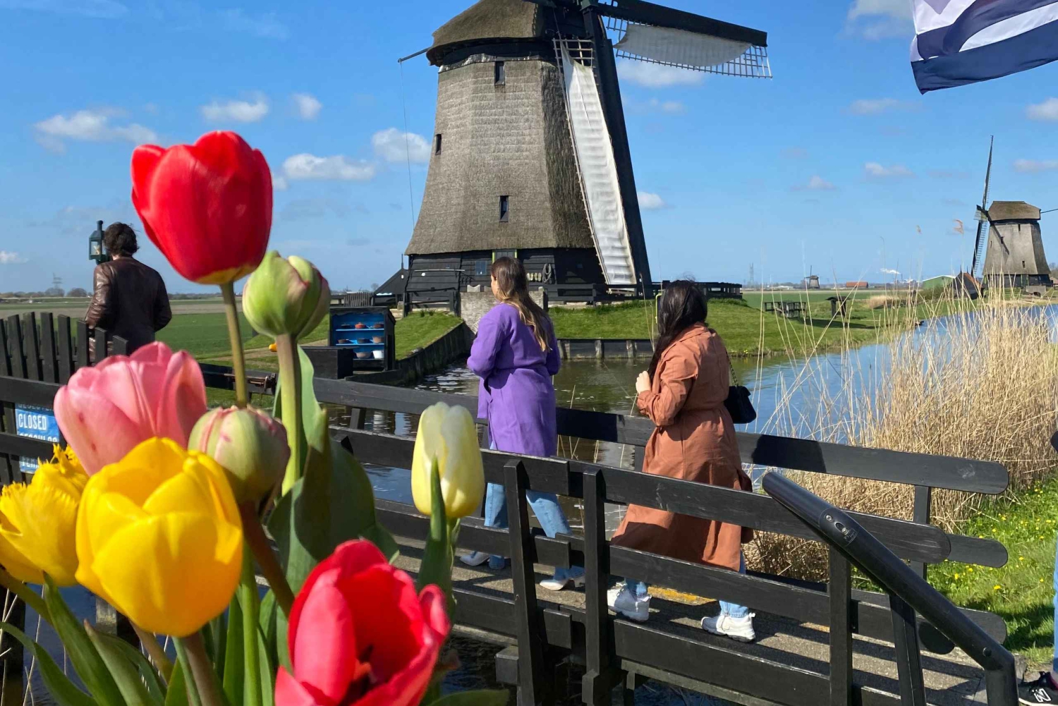 Amsterdam: Excursión de un Día a los Campos de Tulipanes con Almuerzo y Molino de Viento