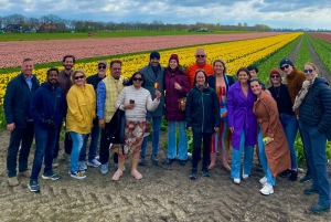 Amsterdam: Excursión de un Día a los Campos de Tulipanes con Almuerzo y Molino de Viento