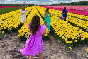 Amsterdam: Excursión de un Día a los Campos de Tulipanes con Almuerzo y Molino de Viento